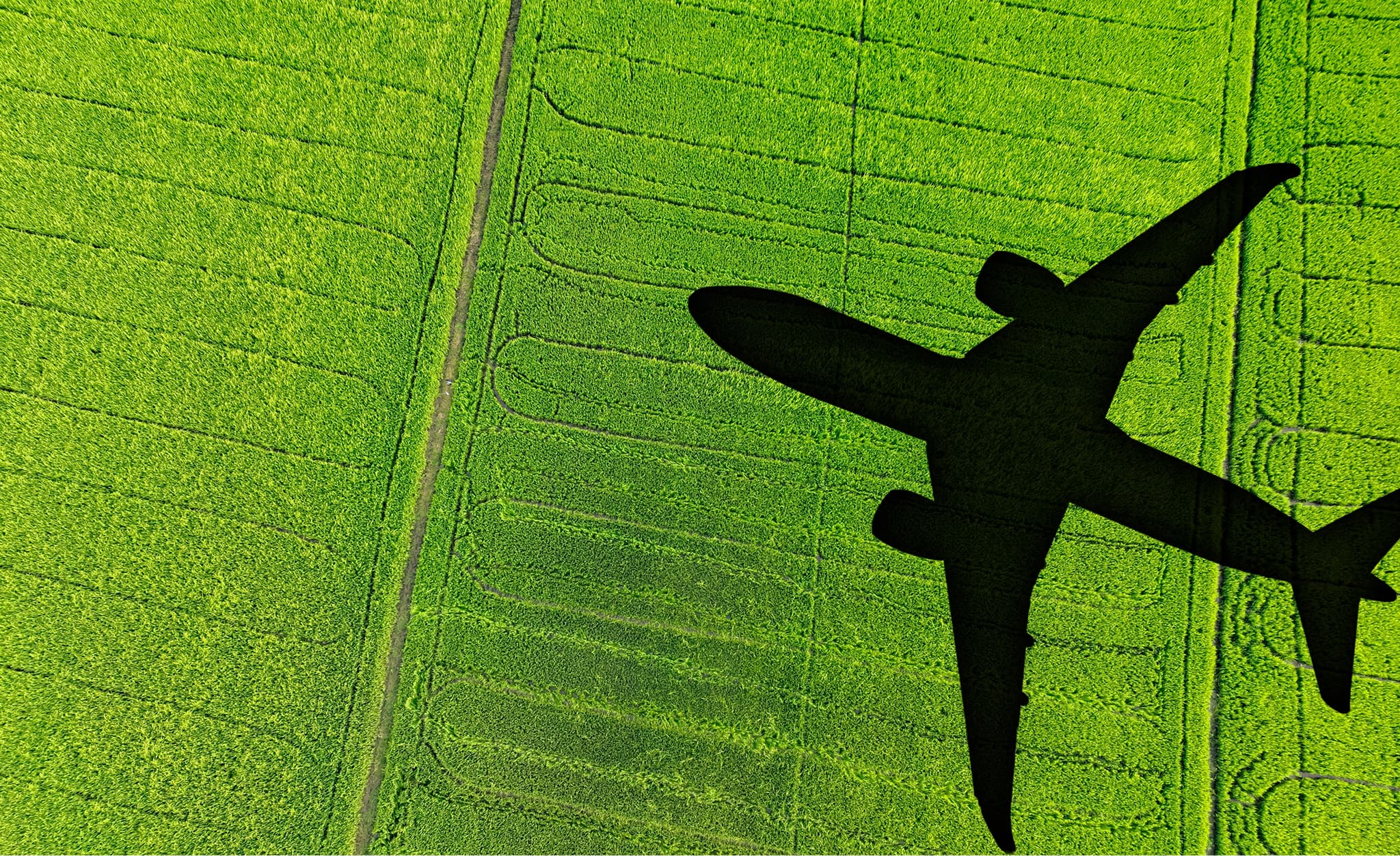 Carbon markets, compliance and airline risk